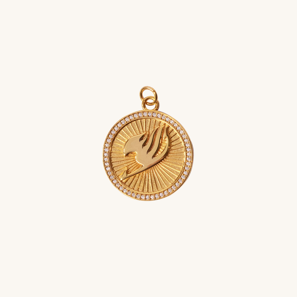 Fairy Tail Charm